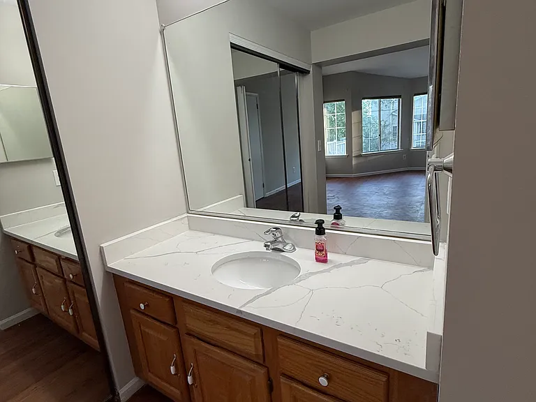 Bonus Vanity area in master bedroom