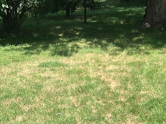 4th image of 1119 W Purtscher Dr