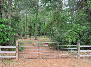 225 Pelican St, Magnolia, TX 77355