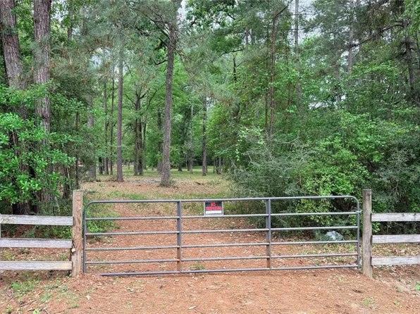 225 Pelican St, Magnolia, TX 77355