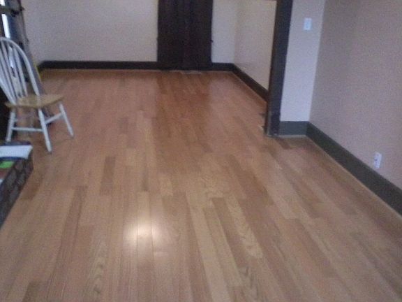 living room and dinning room