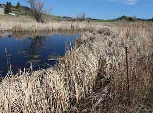 12357 Boggs Ln, Custer, SD 57730