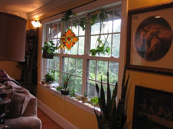 Big windows allow in lots of light. Plants love it!