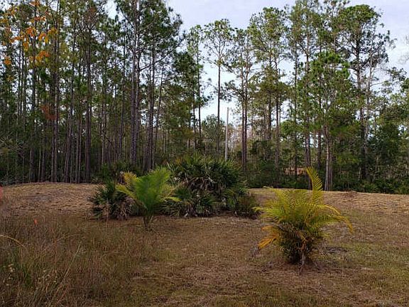 4th image of 3623 Conifer Ln