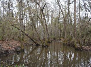 3111 Evergreen Rd, Doerun, GA 31744