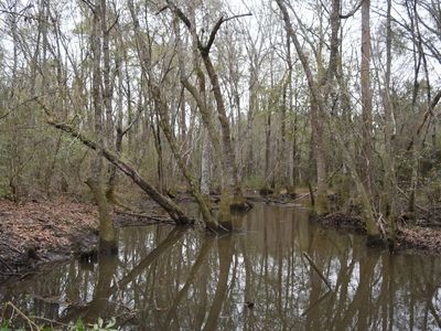 3111 Evergreen Rd, Doerun, GA, 31744