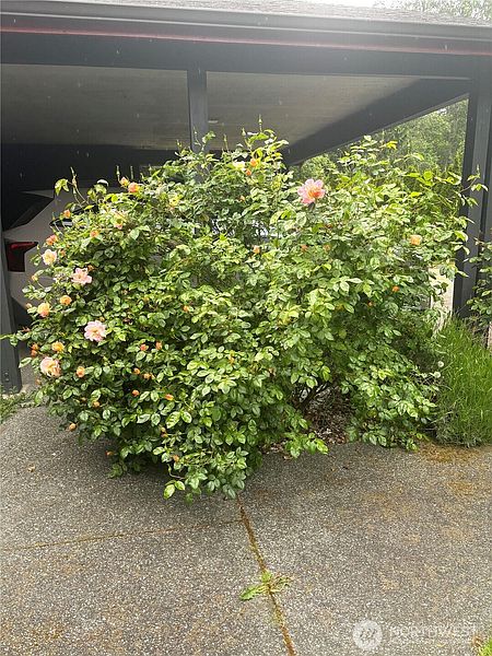 4th image of 431 Fasola