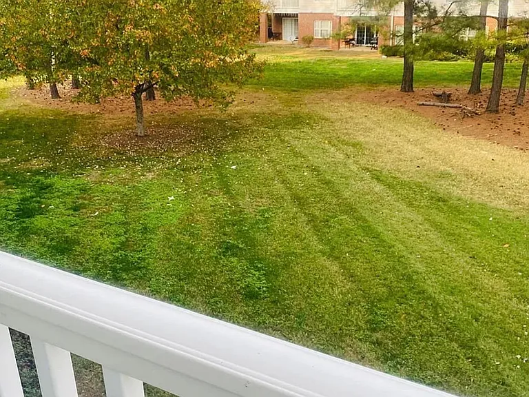 9169 Meadow Vista Rd — Photo 9