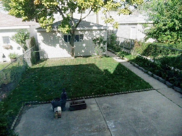 2nd image of 2416 W Cullom Ave