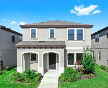 13319 Dorado Shores Ave, Riverview, FL, 33579