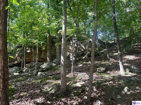 25210 SW Sonora Hardin Springs Rd, Big Clifty, KY 42712