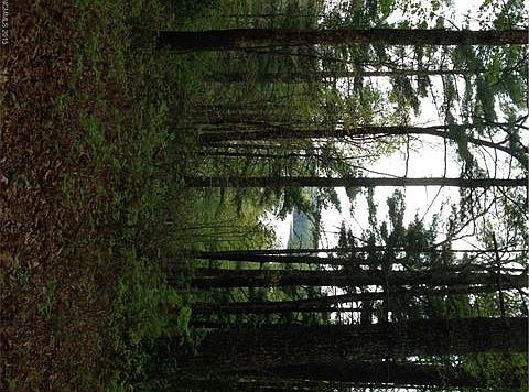 2nd image of 496 Panther Ridge Rd