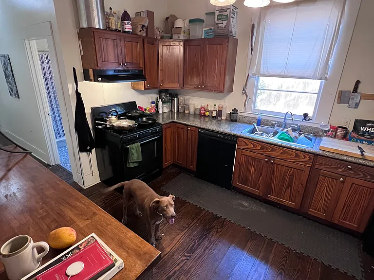 2431 Bienville St #2431 — Photo 4
