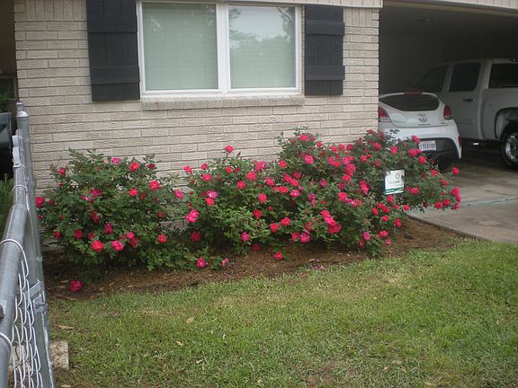 2 car garage