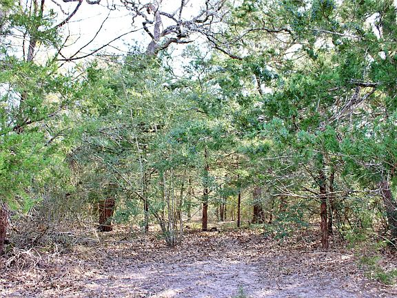 5th image of PARCEL Four Lobo Ln