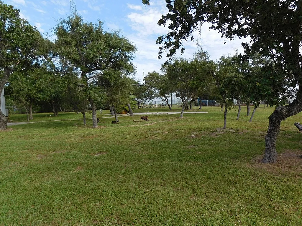 Studio, 1040 sqft, $1,200 — Photo 4