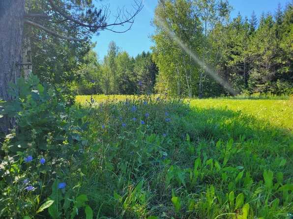 88xxx Eagle Bluff Dr, Bayfield, WI 54814