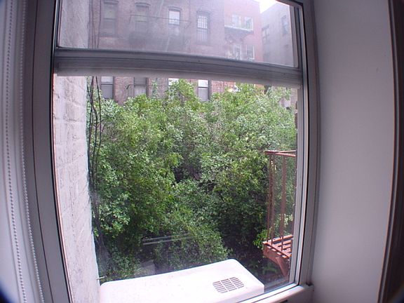 3rd image of 83 Sullivan St #3