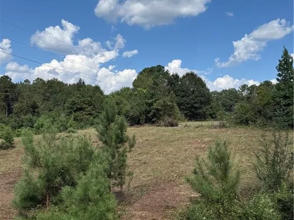 20393 P Griffin Rd, Hammond, LA 70444