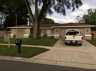 3111 Apricot St, Seffner, FL 33584