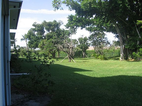 View out the back door