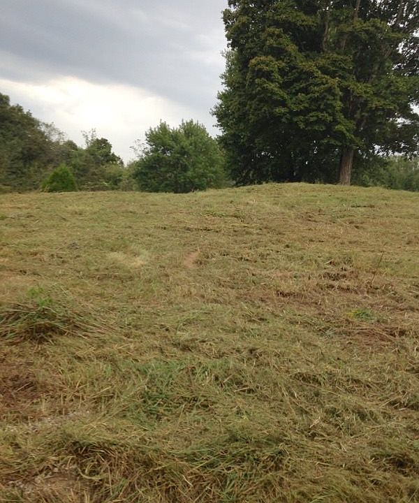 2nd image of 1513 Whalen Rd