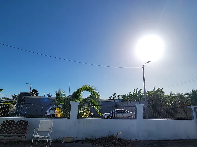 Fenced Yard