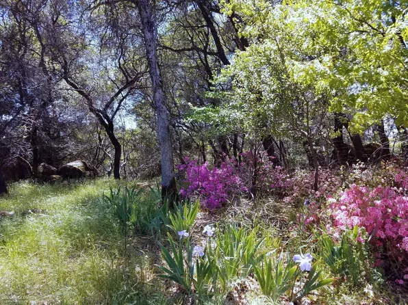 18255 Hummingbird Dr, Penn Valley, CA 95946