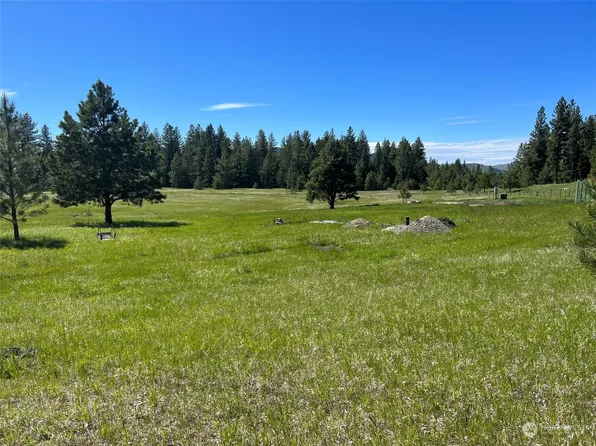 12 Spring Meadow Lane, Oroville, WA 98844
