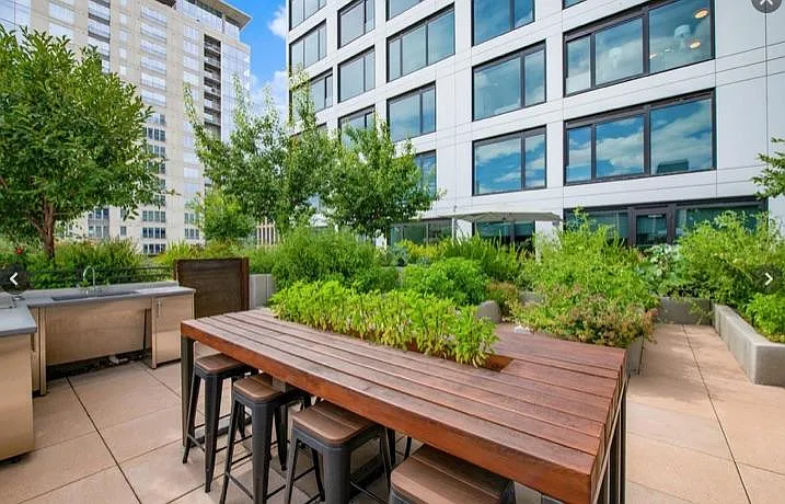 community garden