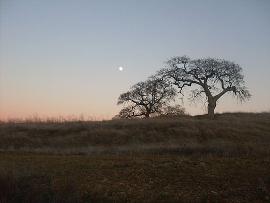 Lime Ridge is nearby