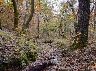 41 Fineview Ln, Long Lane, MO 65590