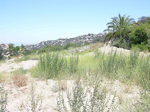 5th image of LOT 56 Welcome Vw