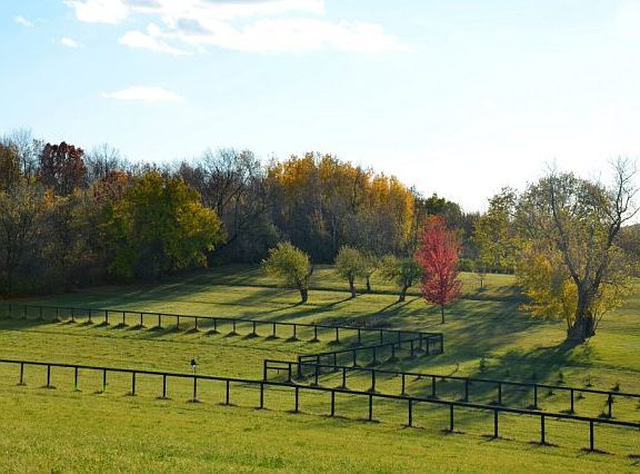 8 Rotational Fenced Pastures