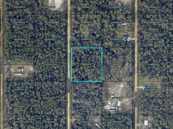 10050 Gregory Ave, Hastings, FL 32145