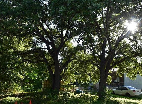 Lot has beautiful Large Oak Trees