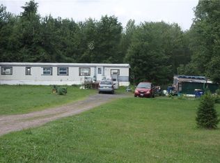 13397 Craine Rd, Red Creek, NY 13143