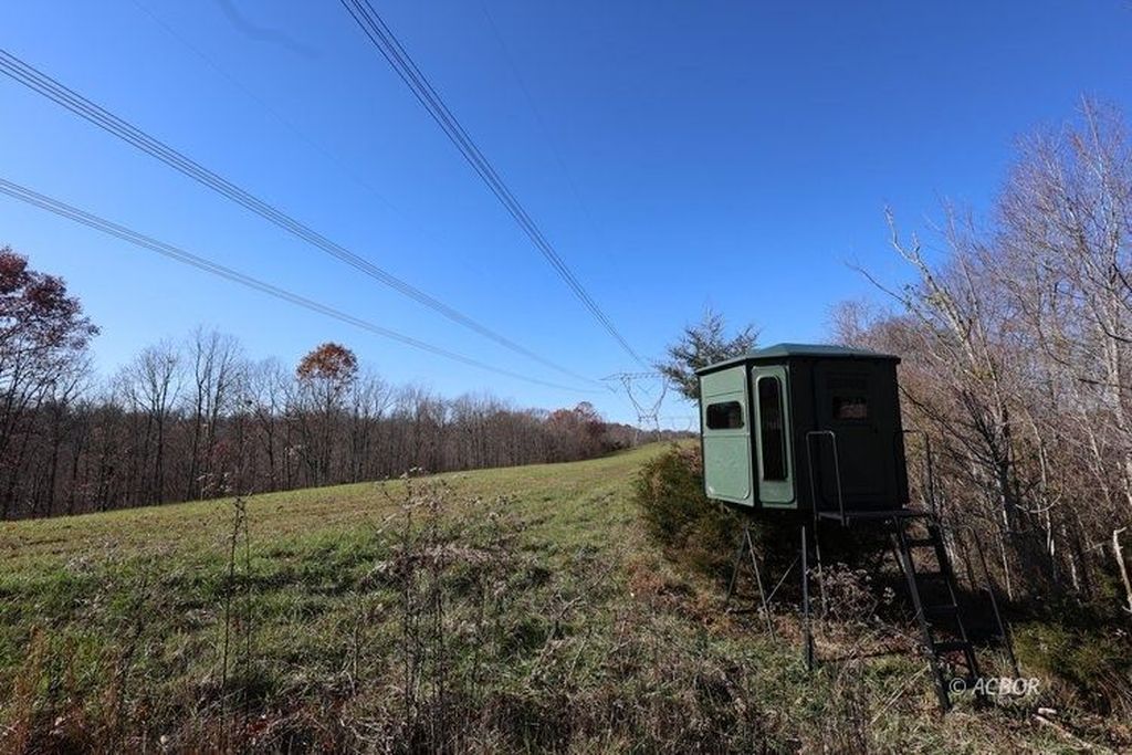 Real estate listing image