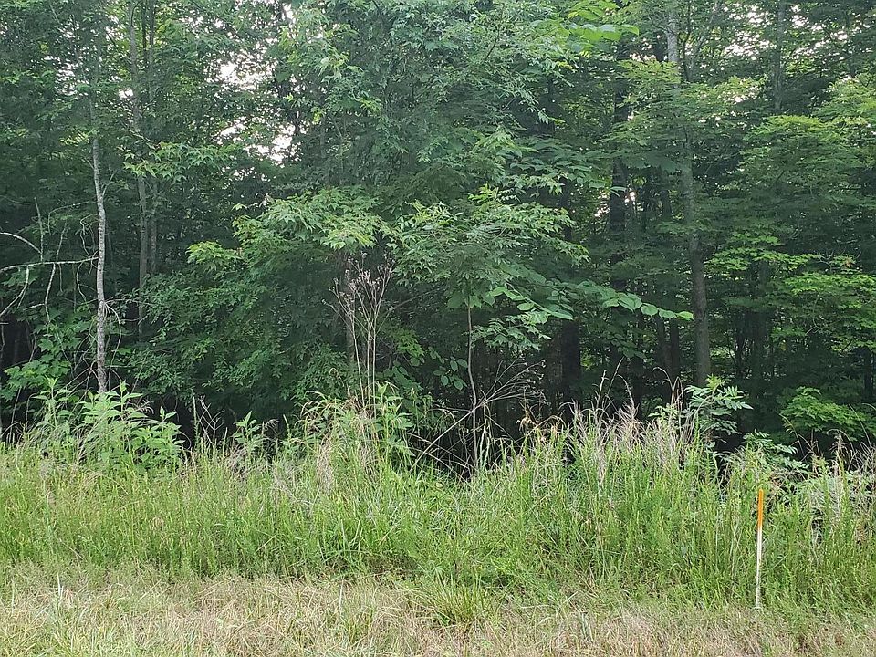 2nd image of Bluff View Rd