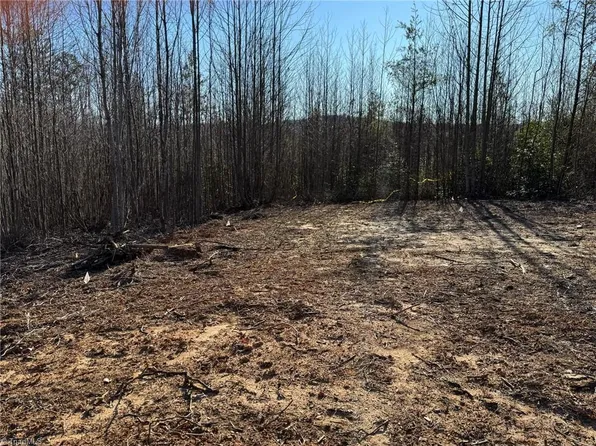 LOT 45 Billings Hill Church Rd Lot 45, Traphill, NC 28685