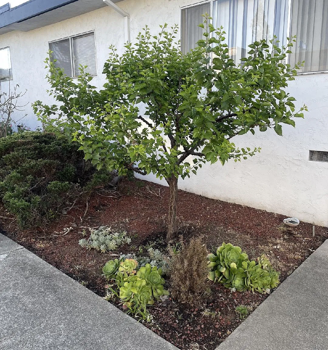 1 bed, 1000 sqft, $2,300 — Photo 1