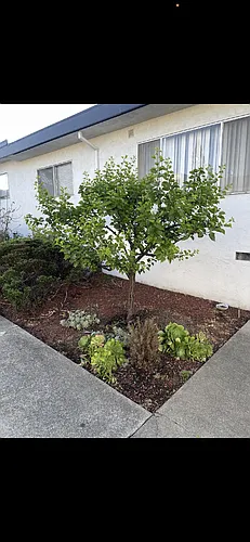 2852 Carmel St Photo 1 2852 Carmel St Photo 1