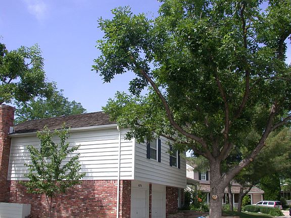 side view