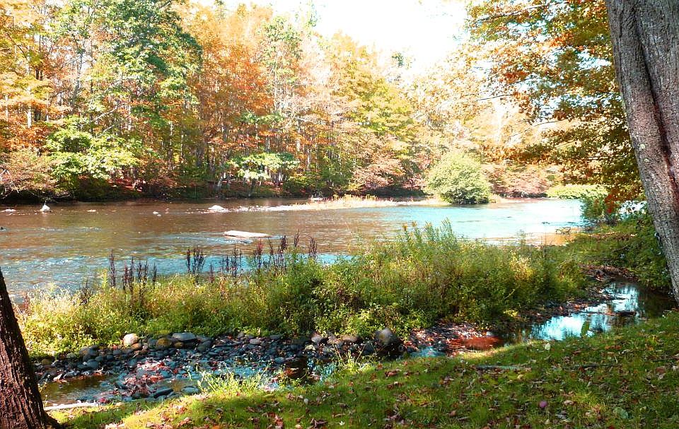 facing the Neversink River