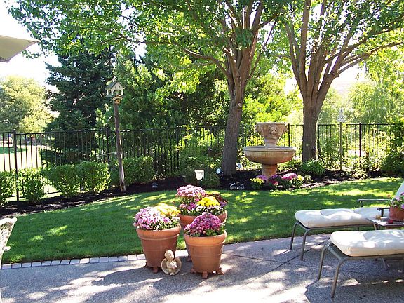 Backyard -Golf Course View Canyon Lakes CC