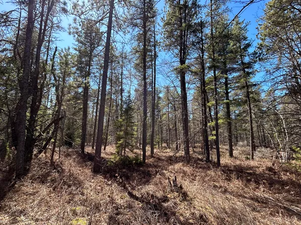 14507 N Whitefish Point Rd, Paradise, MI 49768