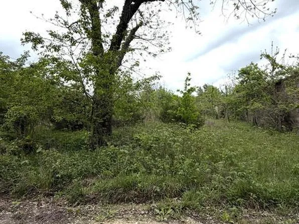 6919 County Road 665, Birch Tree, MO 65438