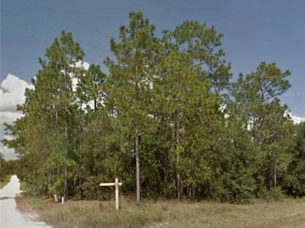 LOT 1 Golden Paradise, Morriston, FL 32668