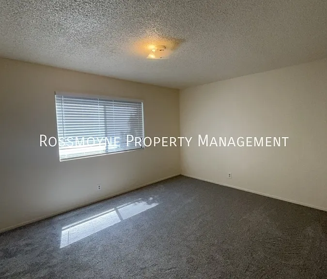 222 S Magnolia Ave #E — Photo 17