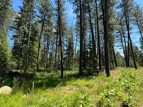 600 N A St Lot 3, Springdale, WA 99173